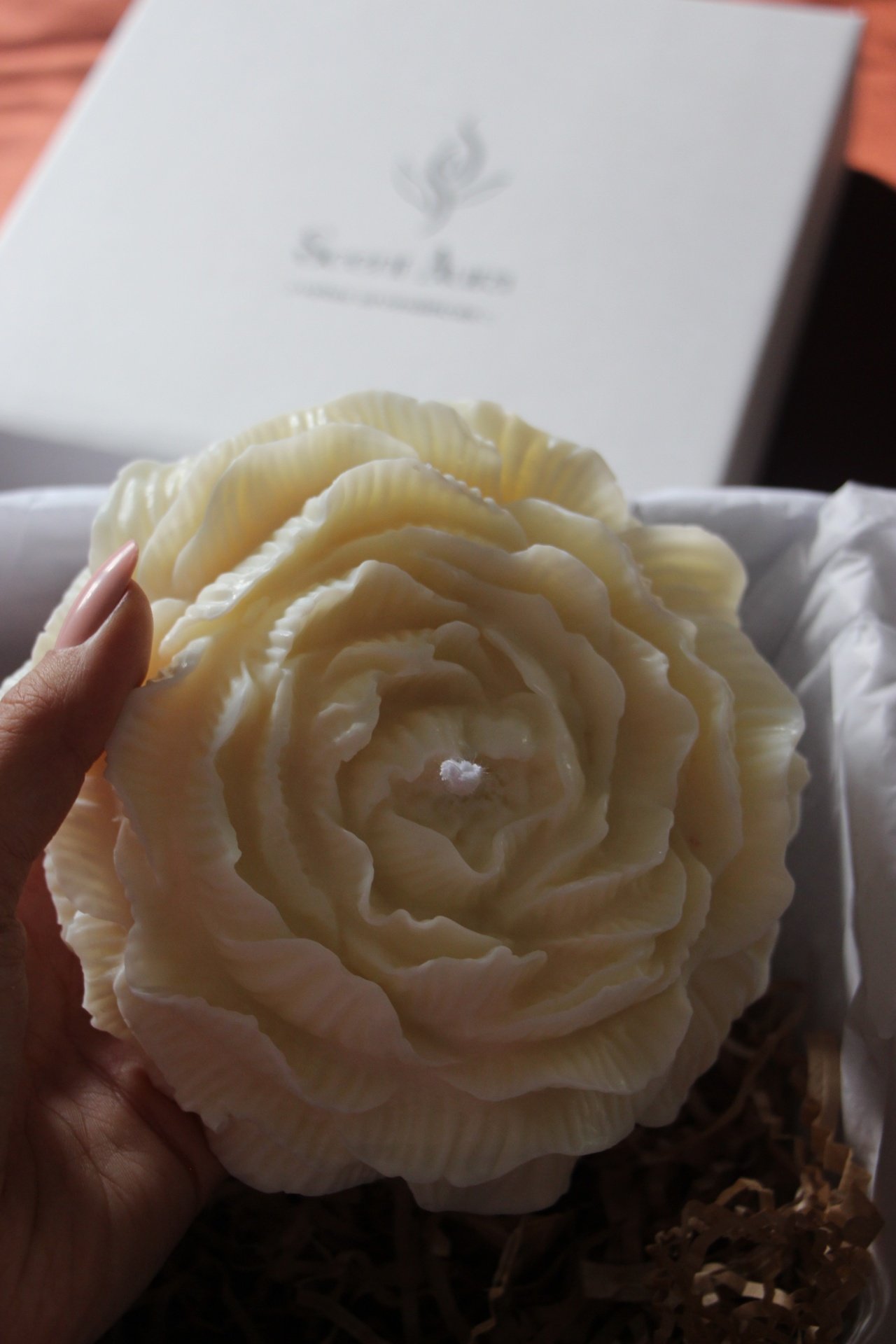 Vela PEONY (grande) 1 Vela PEONY (grande)